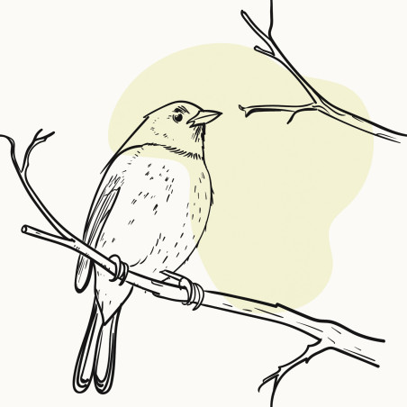 Mensajero del invierno